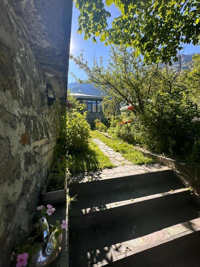 Gio-Nika Hotel Kazbegi Luaran gambar