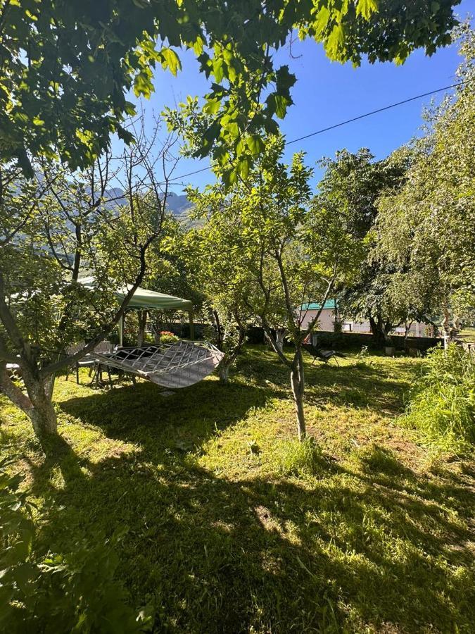 Gio-Nika Hotel Kazbegi Luaran gambar