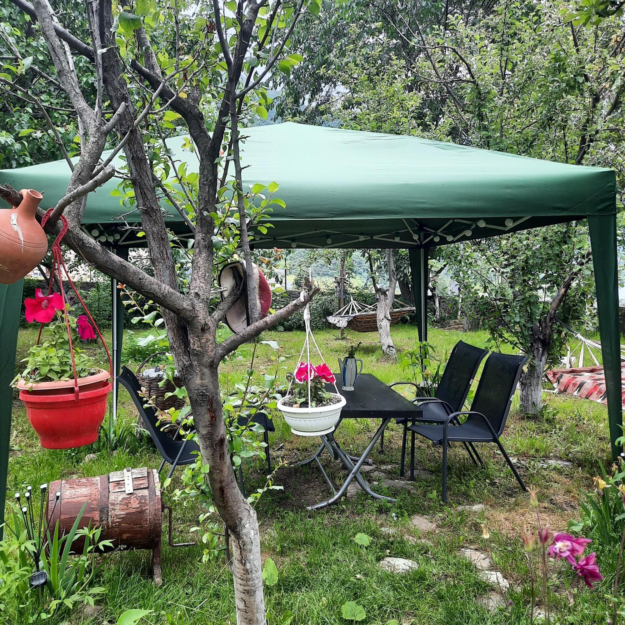 Gio-Nika Hotel Kazbegi Luaran gambar