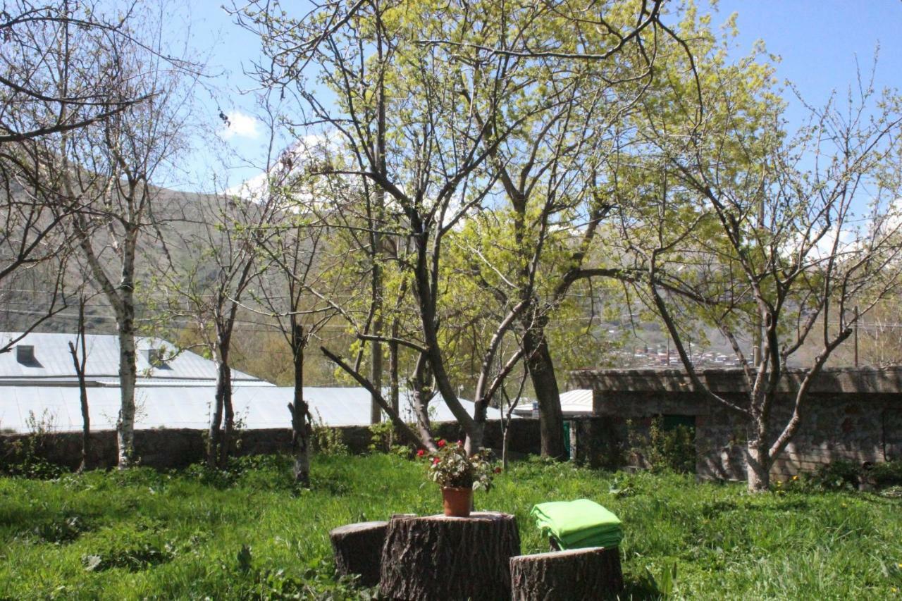Gio-Nika Hotel Kazbegi Luaran gambar
