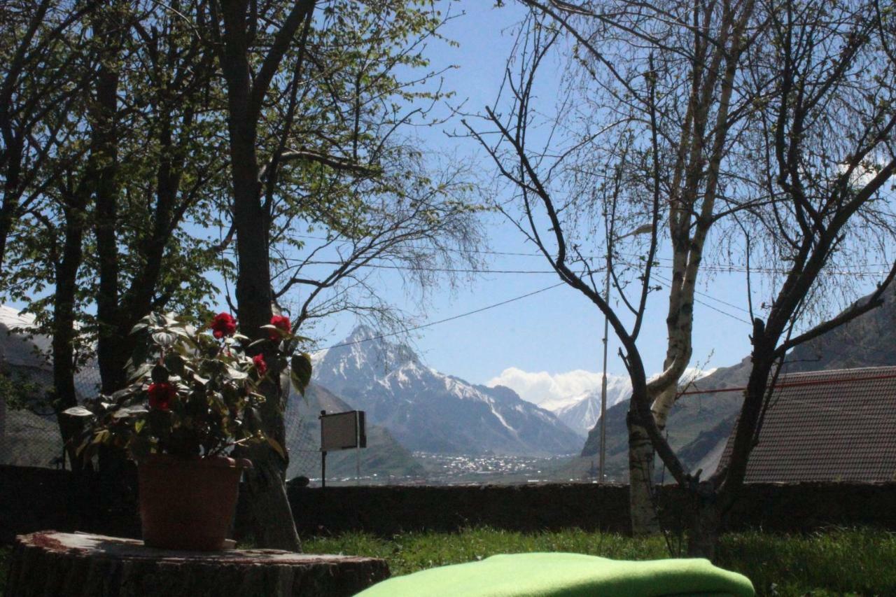 Gio-Nika Hotel Kazbegi Luaran gambar